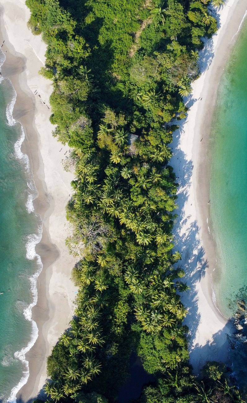 Aerial view of the Pacific coastline and rainforest